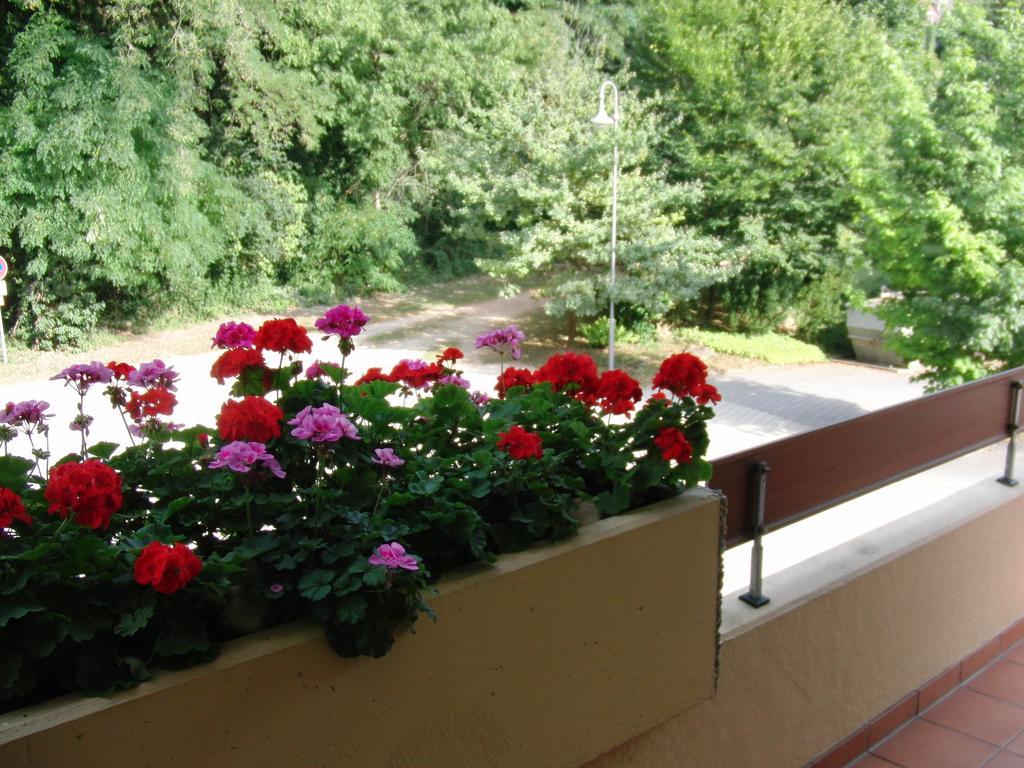 Appartementhaus im Grün Bad Bellingen Zimmer foto